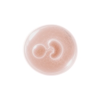 Illustration of a baby at 4 weeks